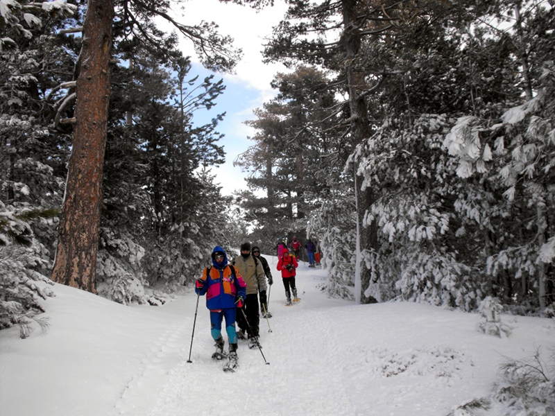 Parco d'inverno - trekking con racchette da neve