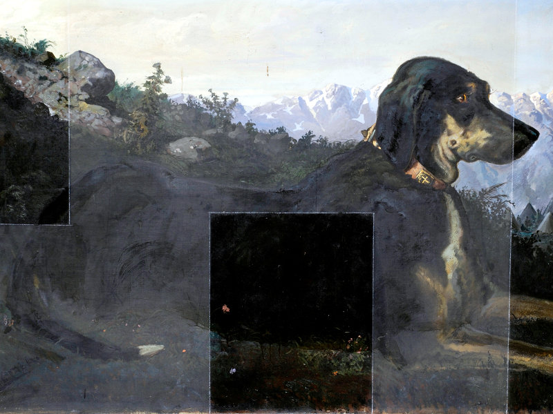 Pietro Comba, La cagna Zoe, 1866 circa, olio su tela