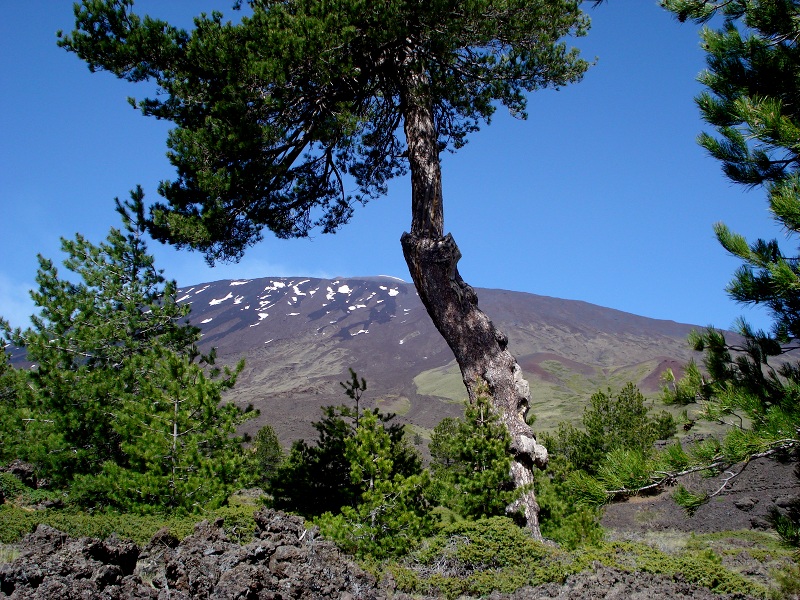 Parco Etna, panorama Galvarina