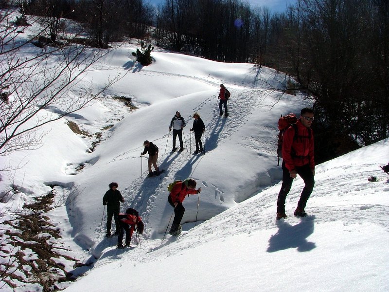 Tour with snowshoes in the Park
