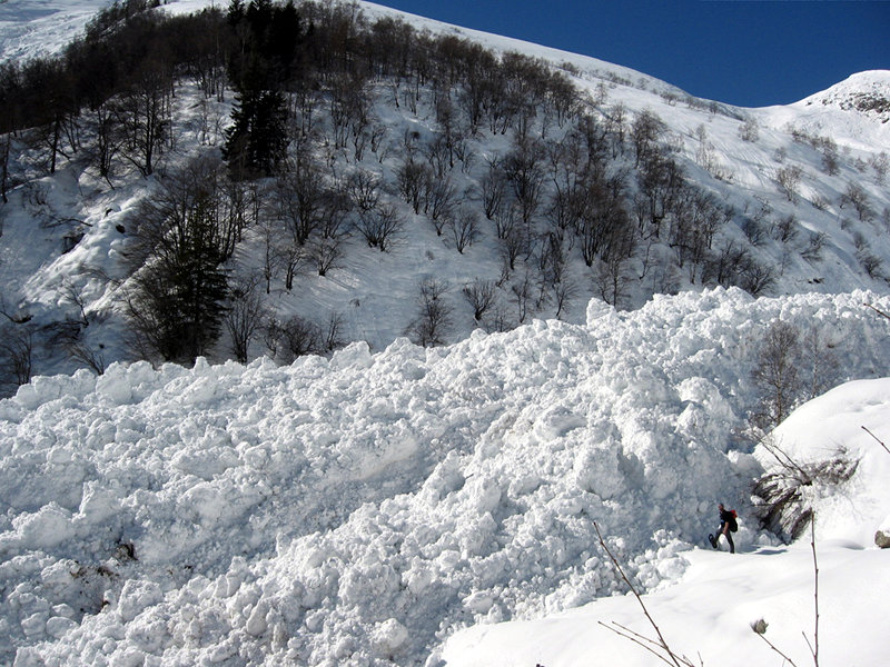 Sellery avalanche