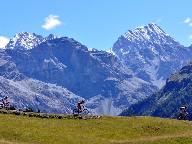 Alpe Solaz in Valfurva. Sullo sfondo il Gran Zebrù
