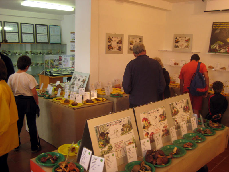 In La Mandria mit der Familie - Pilzausstellung