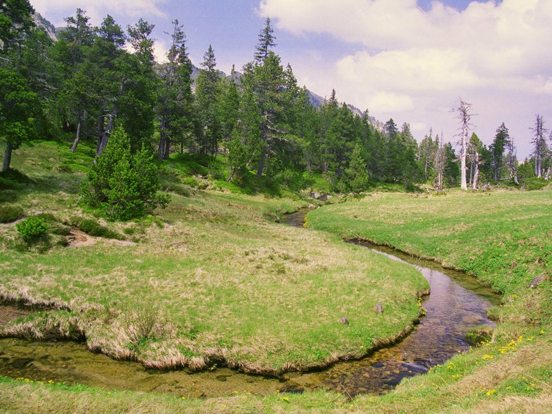 Glaubenberg moor landscape