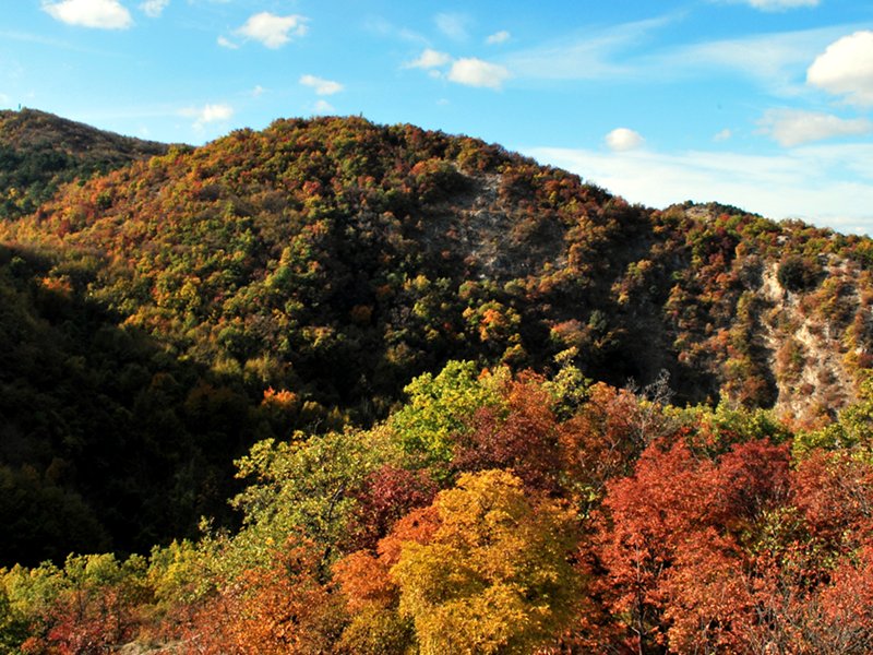 Autumn colors on Mt. Mauro