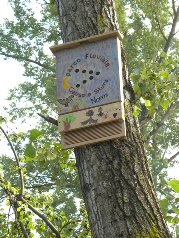 Bat box placed in the Park