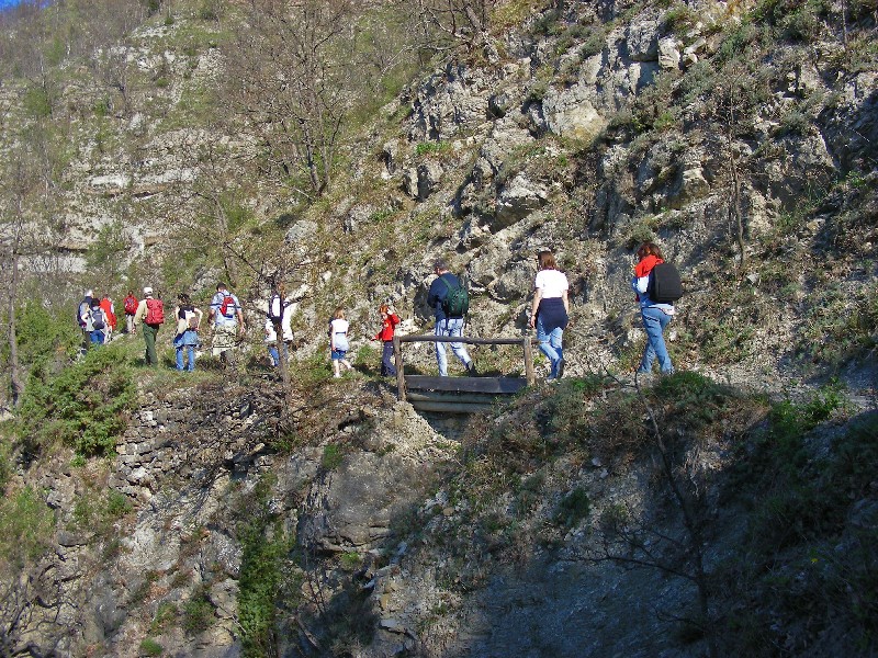 Castellani Trail
