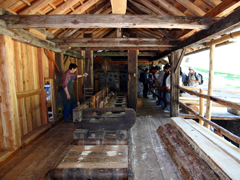 A blast from the past. Guided visit to the Venetian sawmill