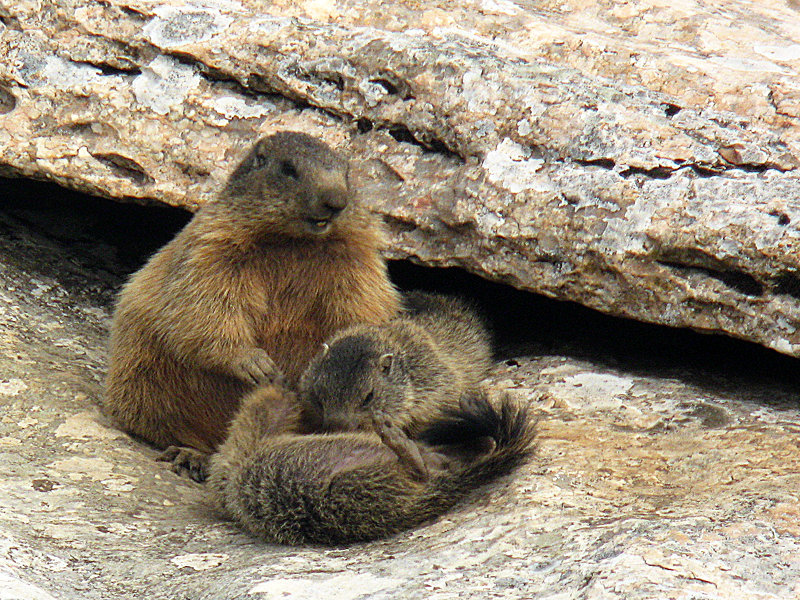 The Marmot Itinerary