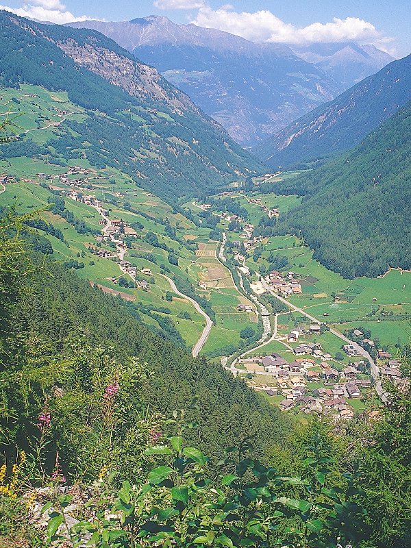 Val Martello. Valley bottom from the road towards Maso Stallwies