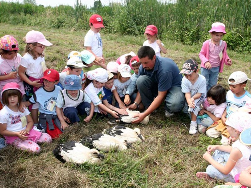 Didactic activity at the White Stork Reintroduction Center