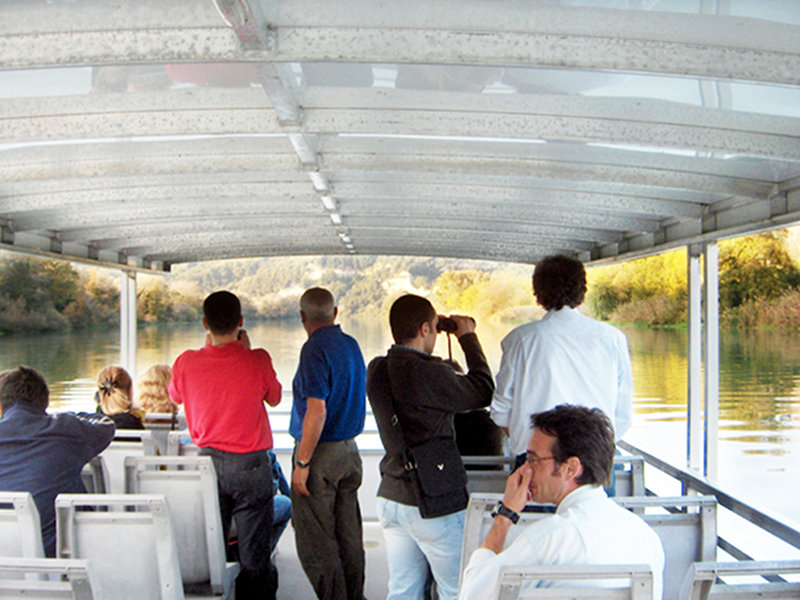 Tour by boat