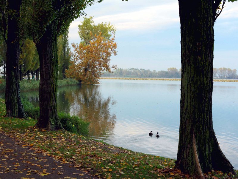 Territory Lakes of Mantua