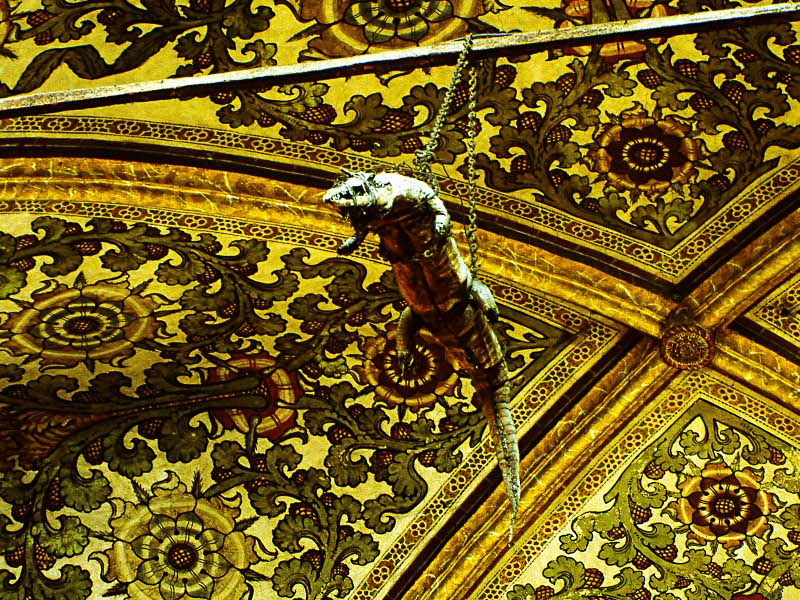 Crocodile hanging from the nave of the Sanctuary of the Graces