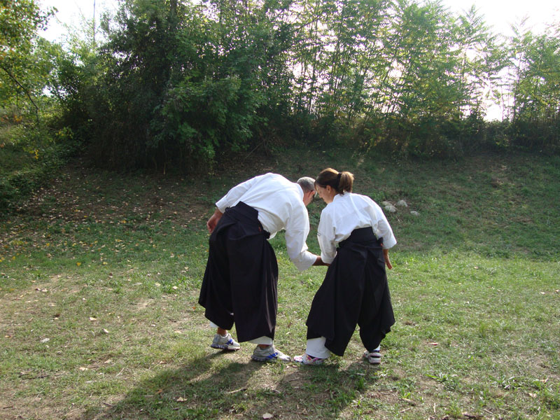 Aikido in the Park