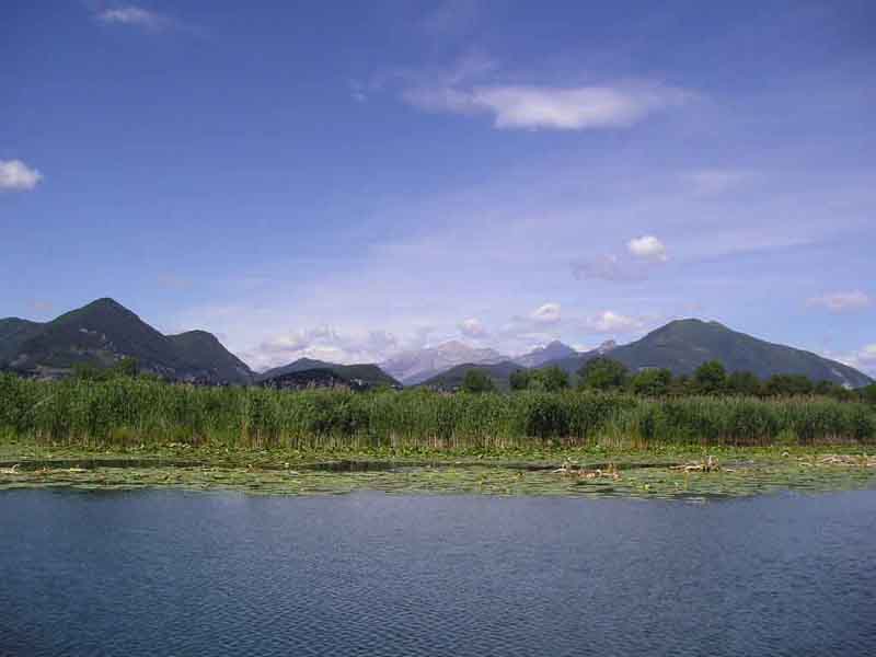 Panorama from Alserio Lake