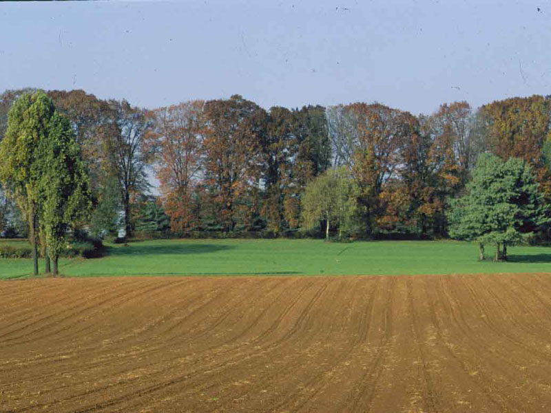 Fields in the Park