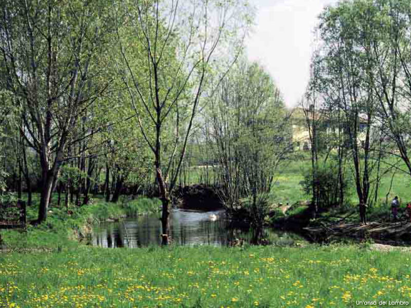 Bends of river Lambro