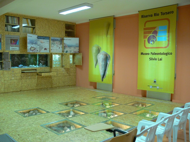 Museo paleontologico Silvio Lai - Sala espositiva