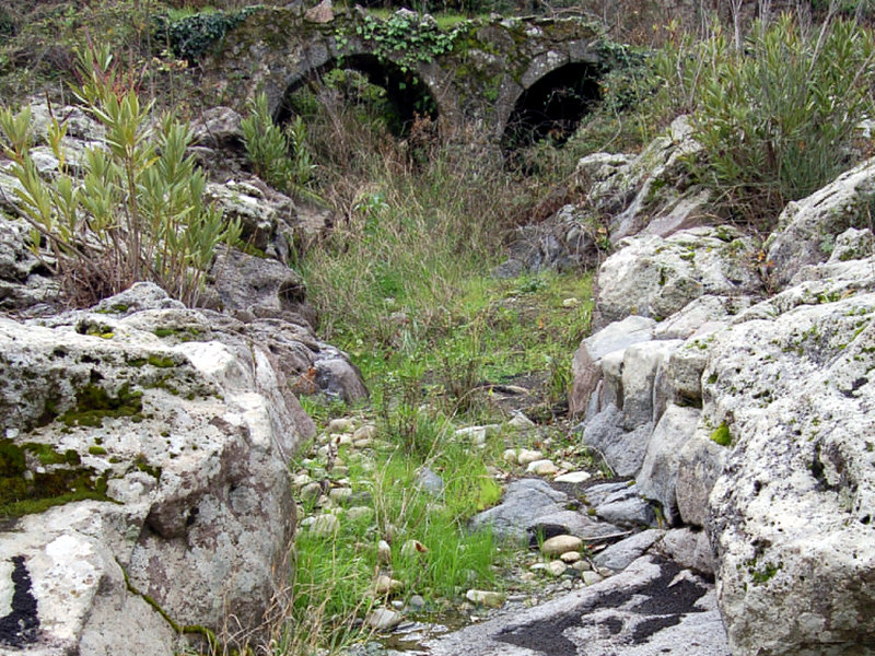 Ruins along the river