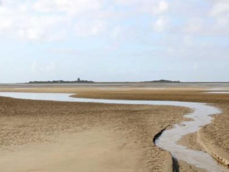 Vaste piane di marea intorno all'isola di Neuwerk