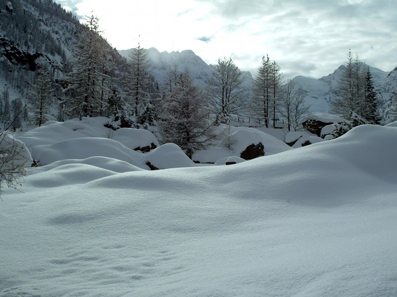 Panorama con neve