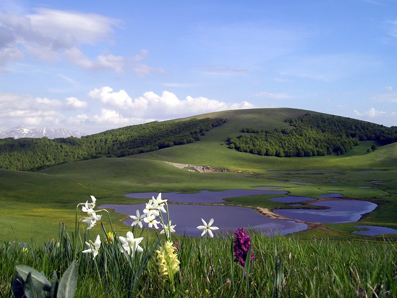 Accumoli, loc. Pantani Sito di Interesse Comunitario