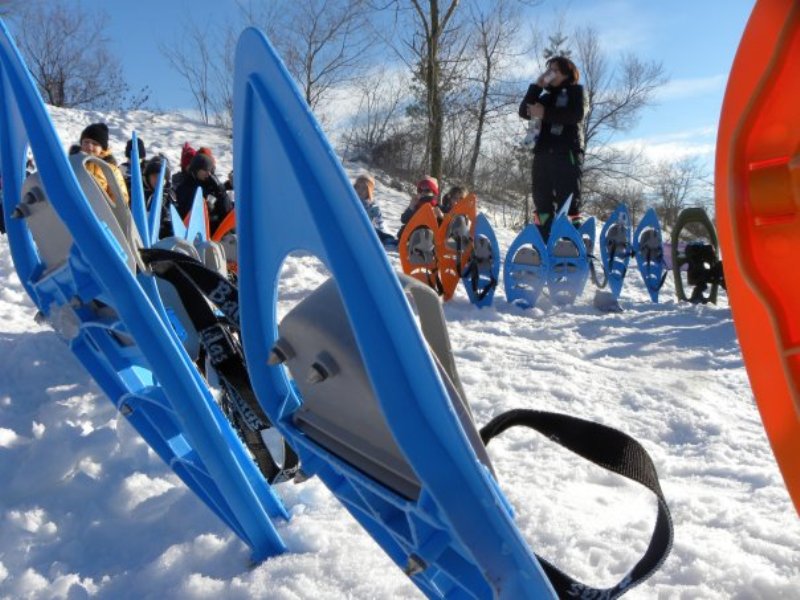 Didactic activity with snowshoes