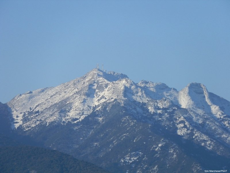 Mt. Capanne