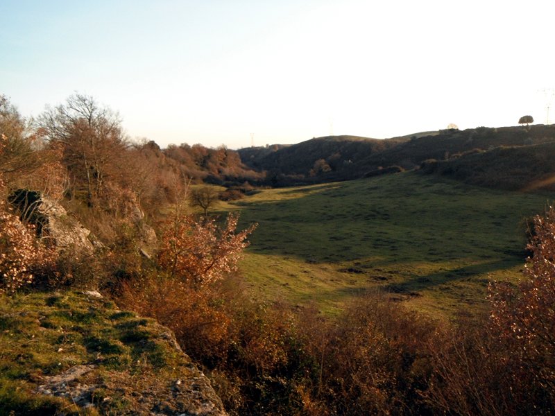 Pastures in the countryside between Morlupo and Castelnuovo