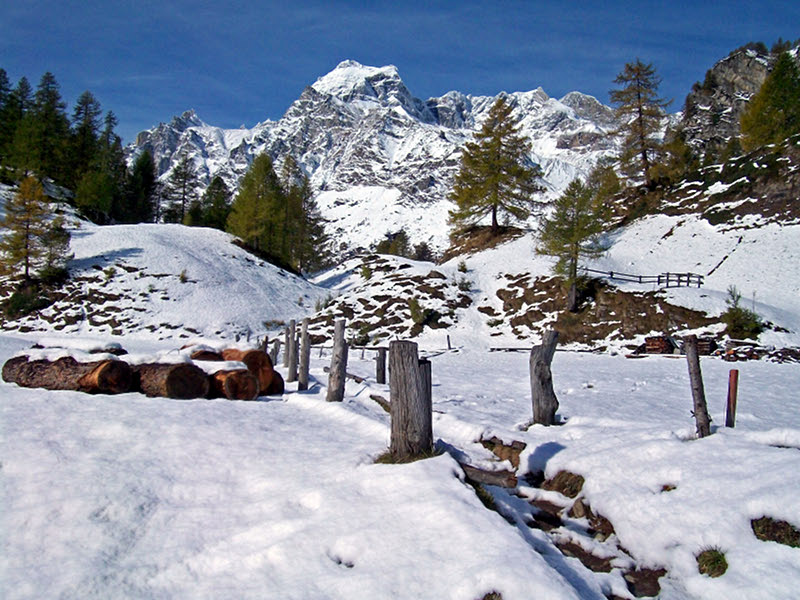Crampiolo Alpe Devero snow