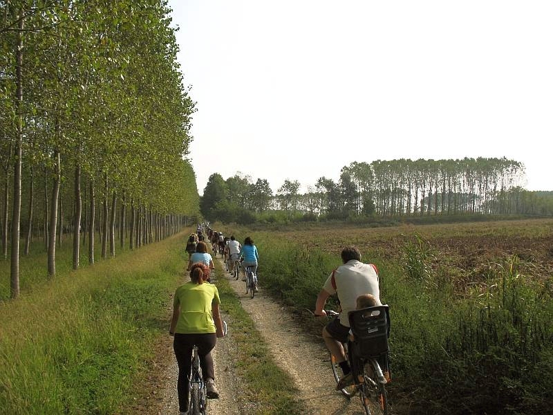Ciclisti nelle campagne di Rondissone