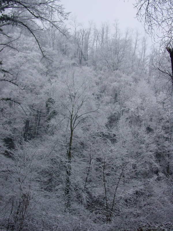 Winter on Superga hill