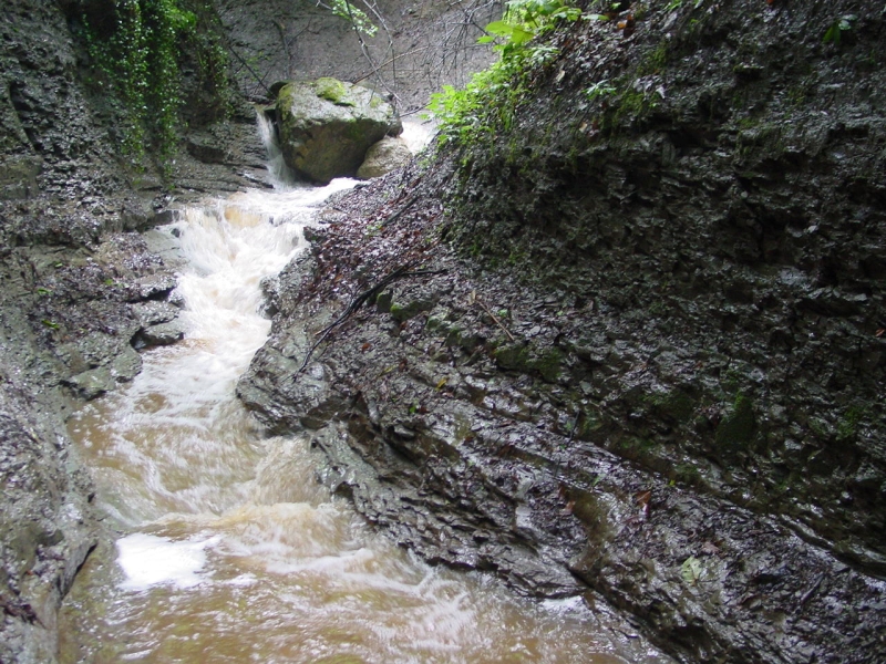 impetuous stream in the Hill of Turin