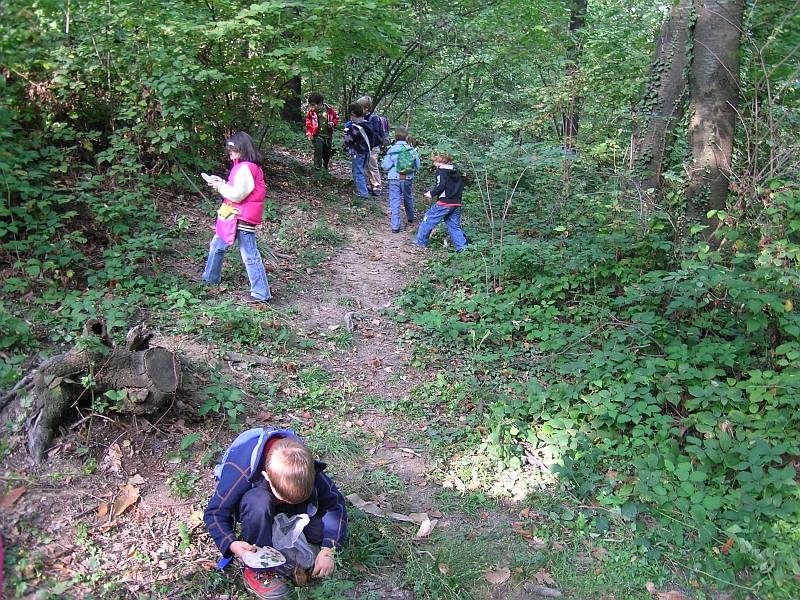 Exploration activities of the Young Park Keepers