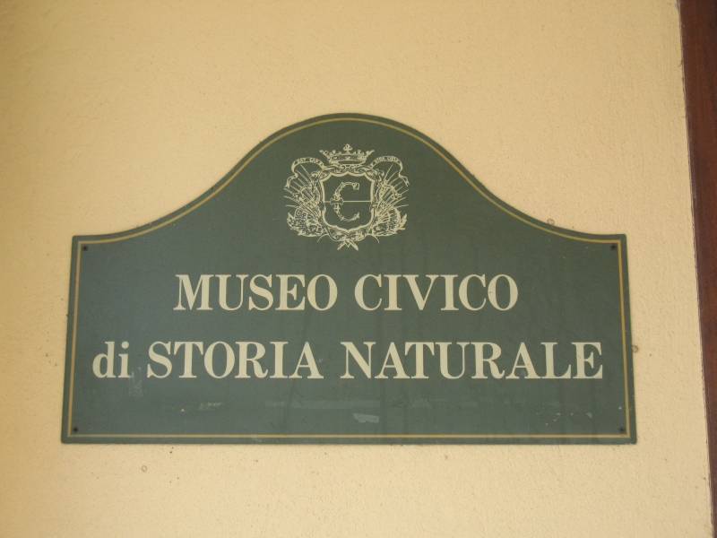 Natural History Town Museum in Carmagnola