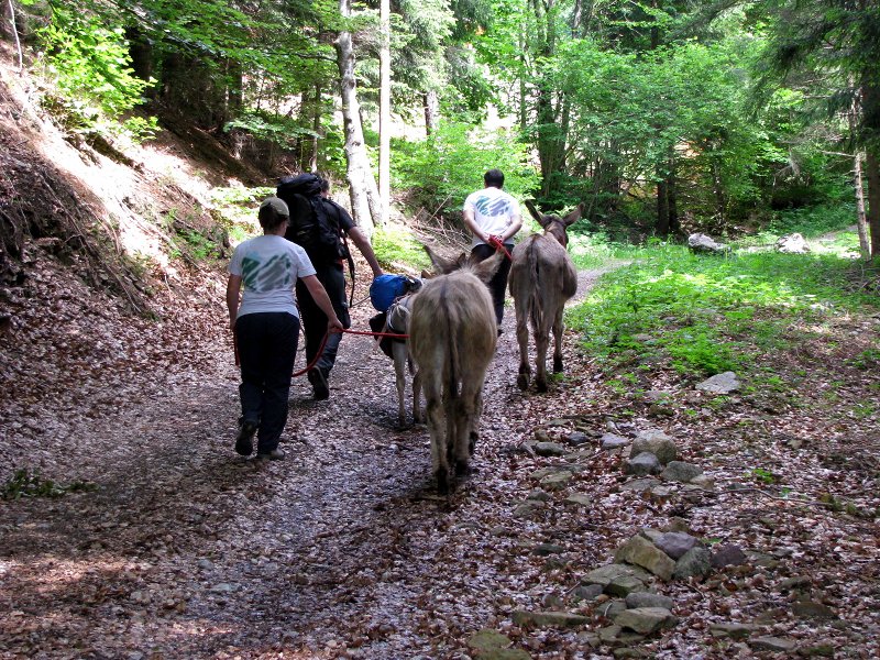 Easy trekking together with the donkeys of Villa Santi