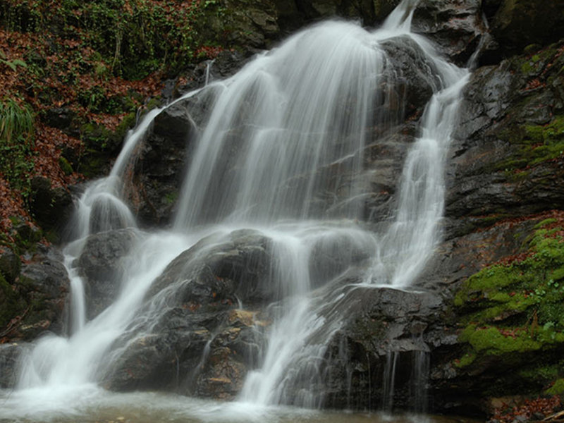 Scherni Waterfall