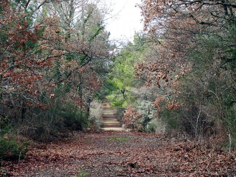 Trail in Monte Rufeno Reserve