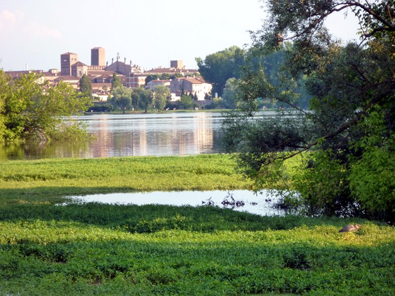Right shore Lago di Mezzo in Mantua