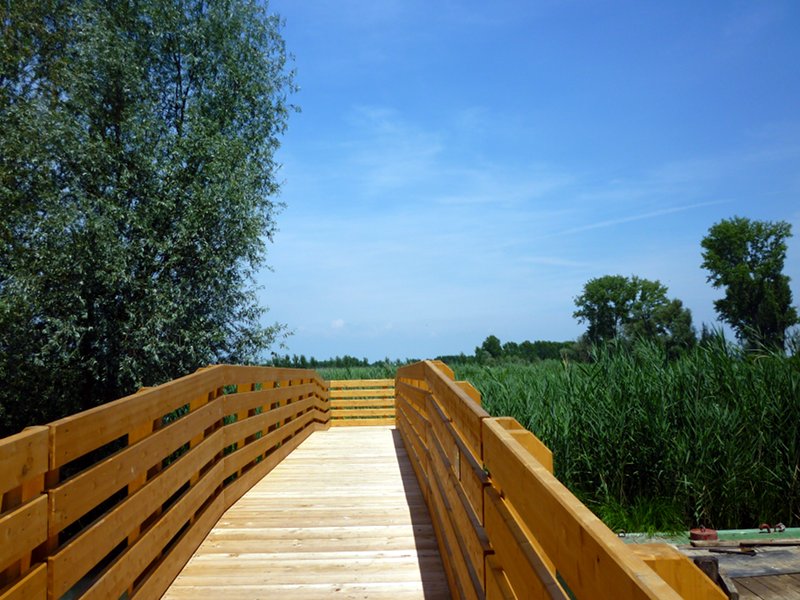 Rivalta sul Mincio, pedestrian bridge from the river to the cane thicket near the Park Center