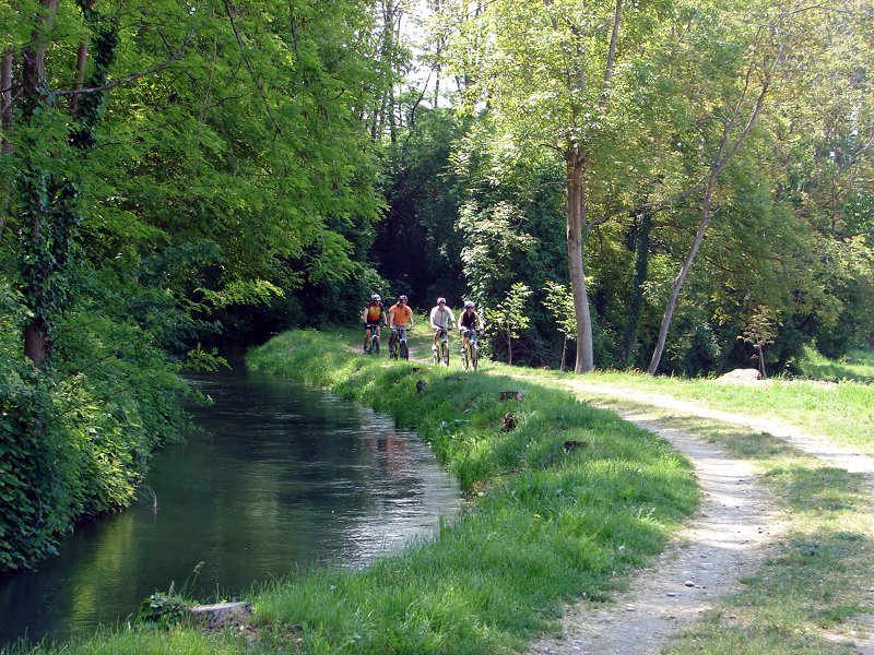 Along river Stura, area Castelletto Stura