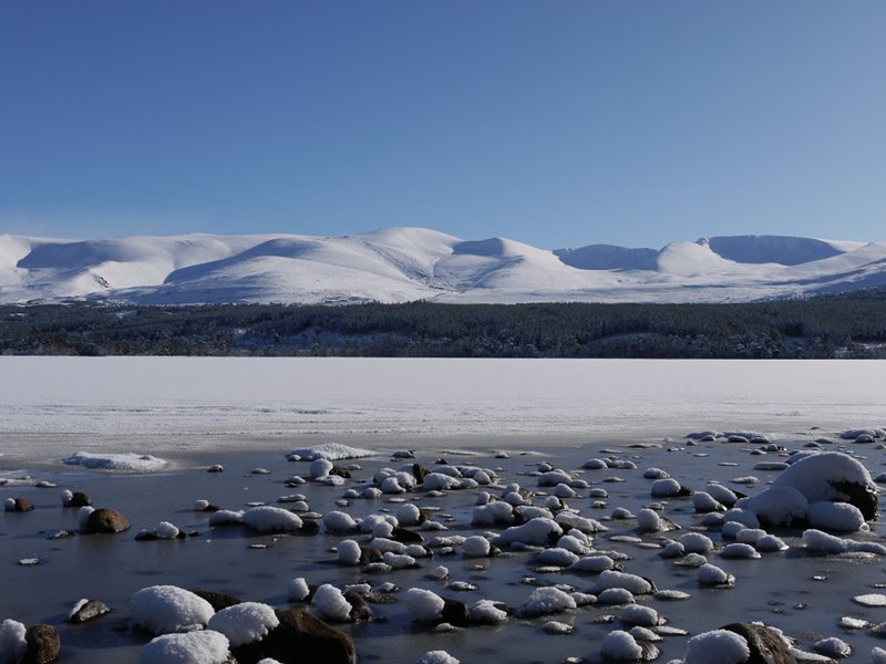 View of Cairngorms from Loch Morlich