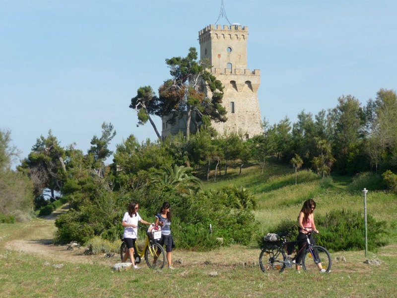Bike to the Torre