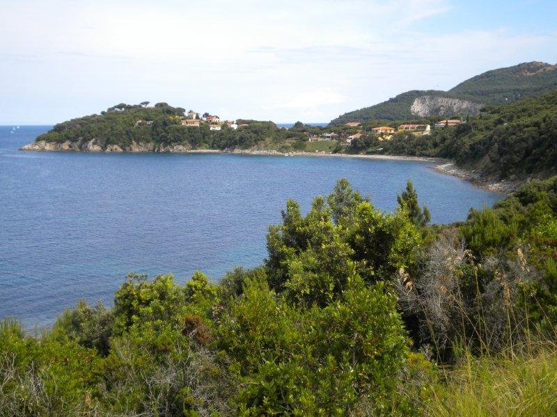 Elba orientale