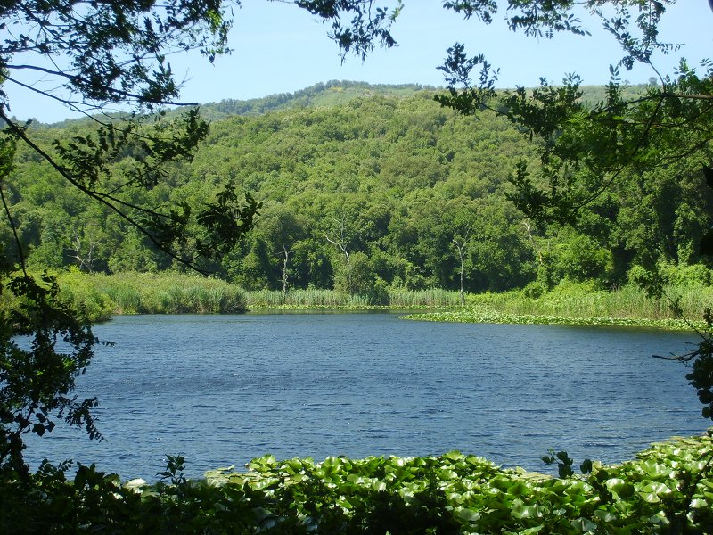 Lago Grande