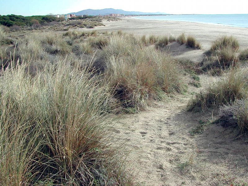 Sentiero duna