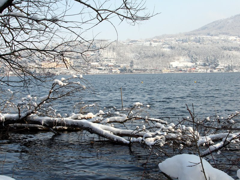 Il lago d'inverno