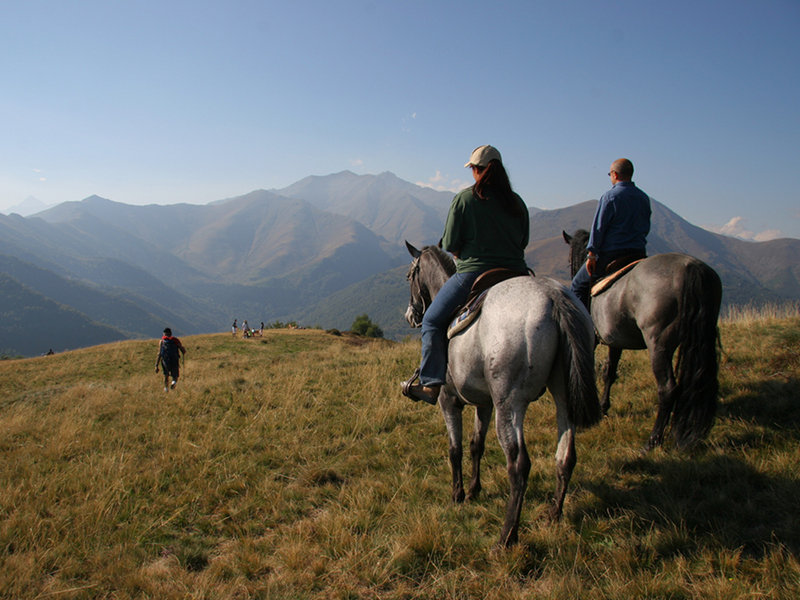 Oasi Zegna (Biella): equitazione