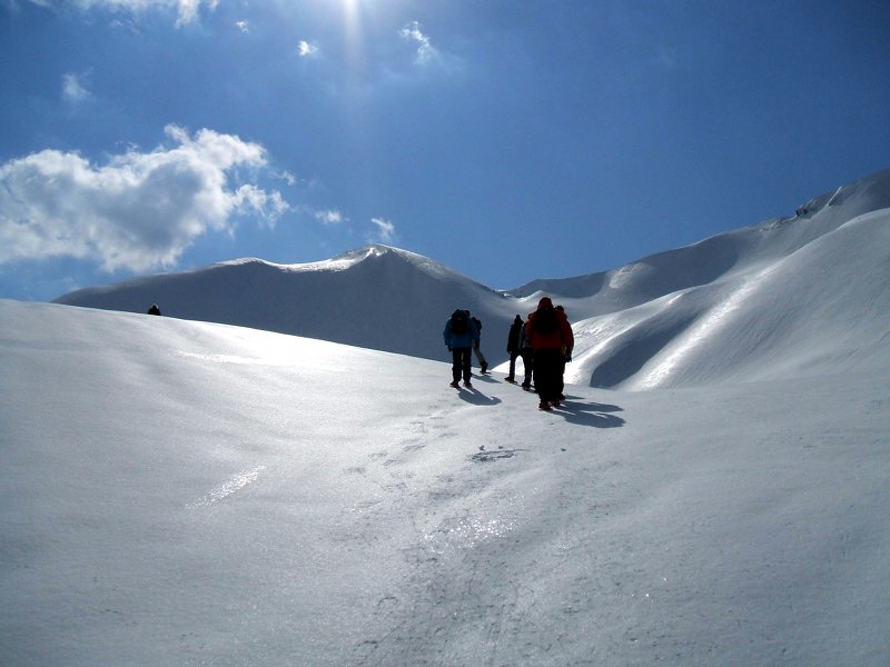 A group on snowshoes and white landscape